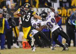 glogster.com Polamalu