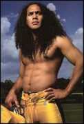 balleralert.com Polamalu