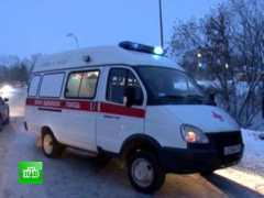 ntv.ru Poligon