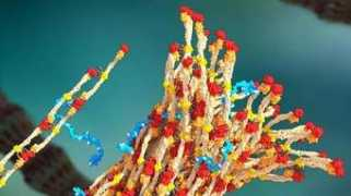 elcorreo.com Polimero