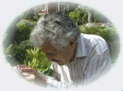rhodogarden.com Pollinate