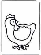 dibujos.org Pollito