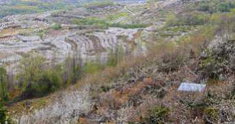 Polomo
