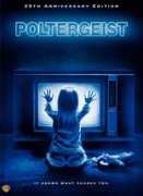 coolchaser.com Poltergeist