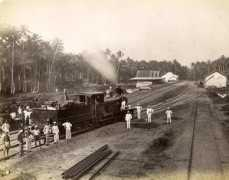 imagesofceylon.com Polwatta