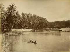 imagesofceylon.com Polwatta