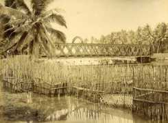 imagesofceylon.com Polwatta