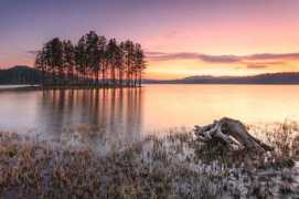 fineartamerica.com Polyana