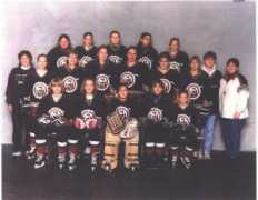 cchockeyhistory.org Polzien
