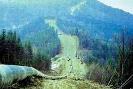 eng.obozrevatel.com Pomary