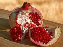 kootmall.com Pomegranate