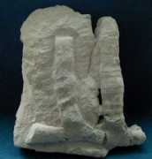 cretaceous.de Pomel