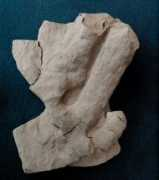 cretaceous.de Pomel
