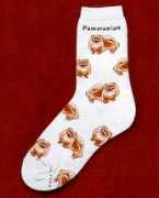 crittersocks.com Pomeranian