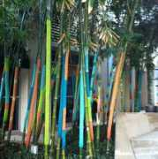likeasaturday.com Pomilla