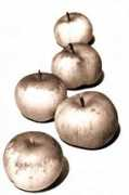 Pommes