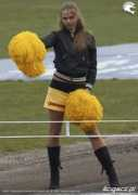 Pompon
