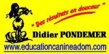 Pondemer