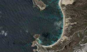 surfshelter.com Pondie