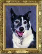 Pongo