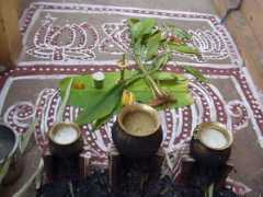 nativeplanet.com Pongolo