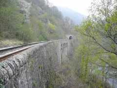 Ponnet