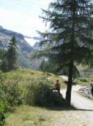 Pont