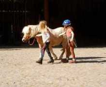 heidehof-sterley.de Ponyclub
