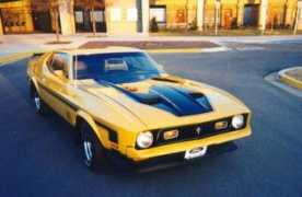 mustangsandmore.com Ponyman