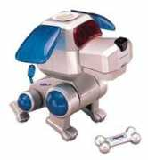 Poochi