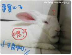 blog.sina.com.tw Poochu