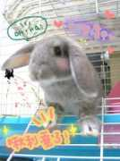 blog.sina.com.tw Poochu