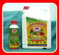 Poodang