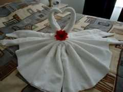 madeleniusa.blogg.no Poolet