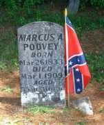 Poovy