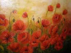 artwanted.com Popies