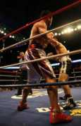 cyberboxingzone.com Popoca
