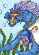 neopets.com Poree