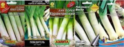ftimes.ru Poreya
