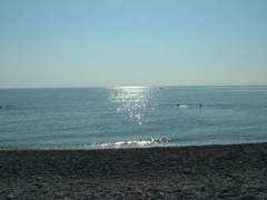 Poroi