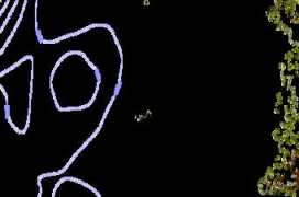 fr.surf-forecast.com Portete