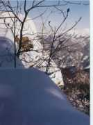 hort.blog.sme.sk Posled