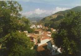 Potes