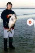 fishingkites.co.nz Potham