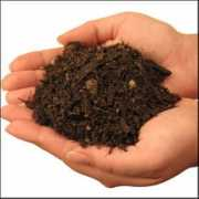 glogster.com Potting