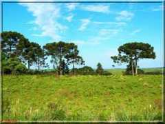 panoramio.com Pouco