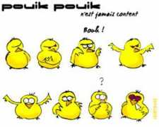 Pouik