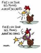 lasserpe.blogs.sudouest.fr Poules
