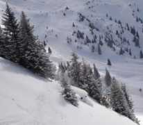 Powder