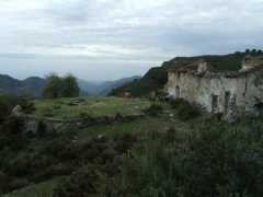 Pradillos